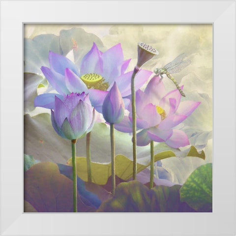 Lotus Sanctuary I White Modern Wood Framed Art Print by Hunziker, Steve