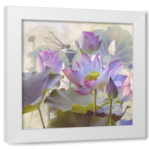 Lotus Sanctuary II White Modern Wood Framed Art Print by Hunziker, Steve
