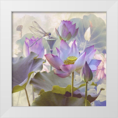 Lotus Sanctuary II White Modern Wood Framed Art Print by Hunziker, Steve