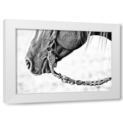 Equine Portrait II White Modern Wood Framed Art Print by PHBurchett