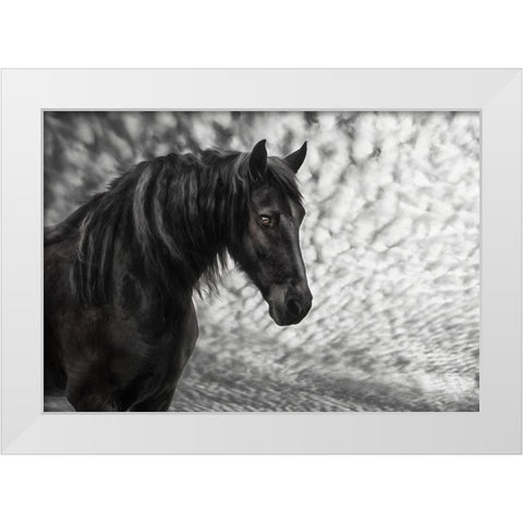Equine Portrait III White Modern Wood Framed Art Print by PHBurchett