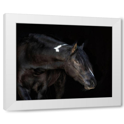 Equine Portrait IV White Modern Wood Framed Art Print by PHBurchett