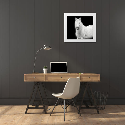 Equine Portrait V White Modern Wood Framed Art Print by PHBurchett