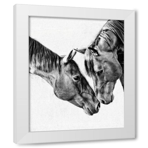 Equine Portrait VI White Modern Wood Framed Art Print by PHBurchett