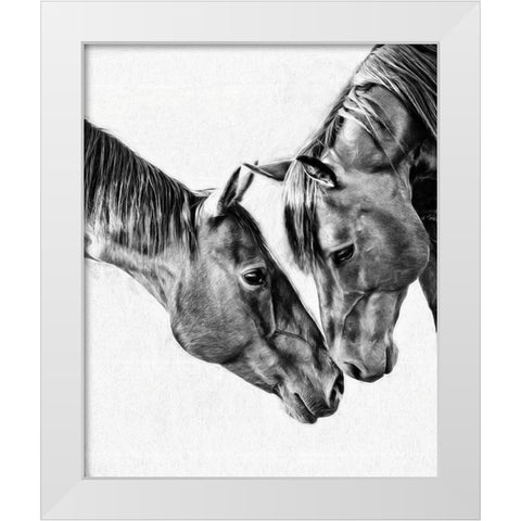 Equine Portrait VI White Modern Wood Framed Art Print by PHBurchett