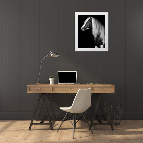 Equine Portrait VII White Modern Wood Framed Art Print by PHBurchett