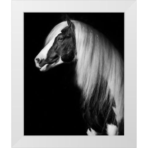 Equine Portrait VII White Modern Wood Framed Art Print by PHBurchett
