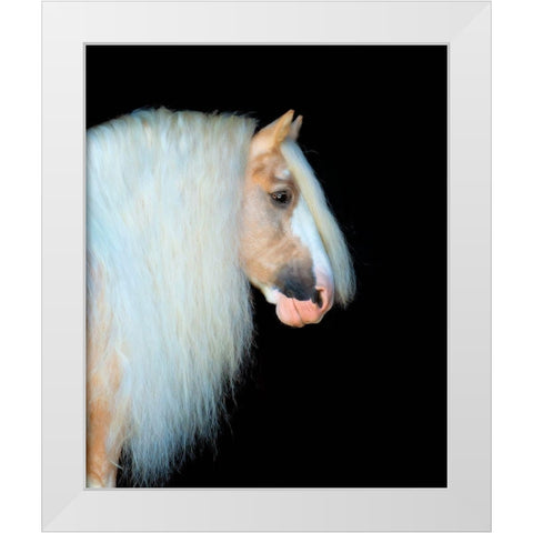 Equine Portrait VIII White Modern Wood Framed Art Print by PHBurchett