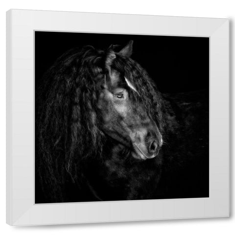 Equine Portrait IX White Modern Wood Framed Art Print by PHBurchett