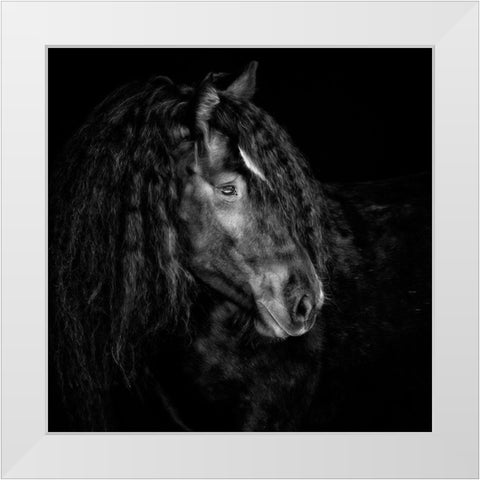 Equine Portrait IX White Modern Wood Framed Art Print by PHBurchett