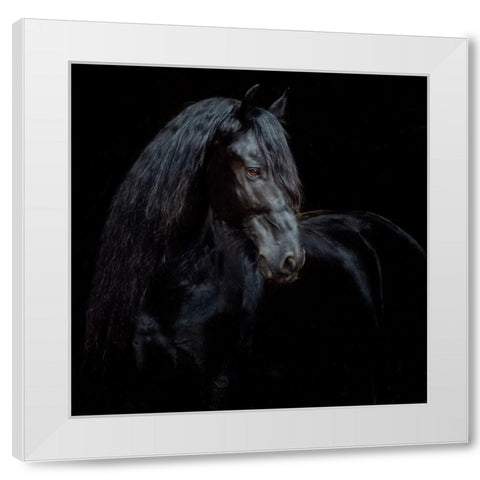 Equine Portrait XI White Modern Wood Framed Art Print by PHBurchett