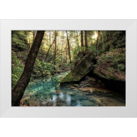 Filtered Light I White Modern Wood Framed Art Print by Head, Danny