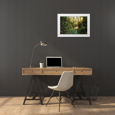 Filtered Light II White Modern Wood Framed Art Print by Head, Danny