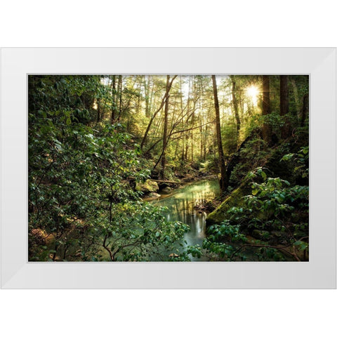 Filtered Light II White Modern Wood Framed Art Print by Head, Danny