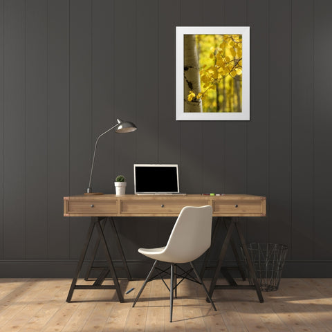 Aspen Highlights White Modern Wood Framed Art Print by Head, Danny