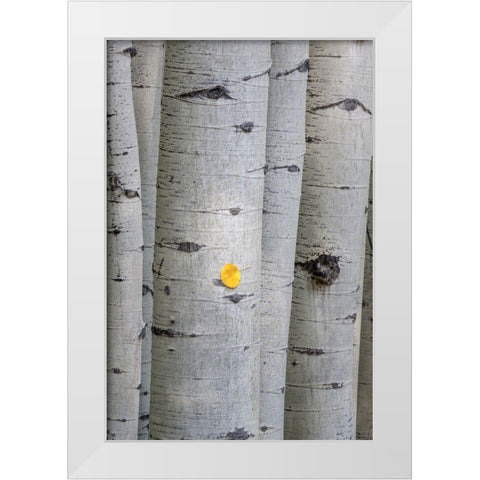 Stuck On You White Modern Wood Framed Art Print by Head, Danny