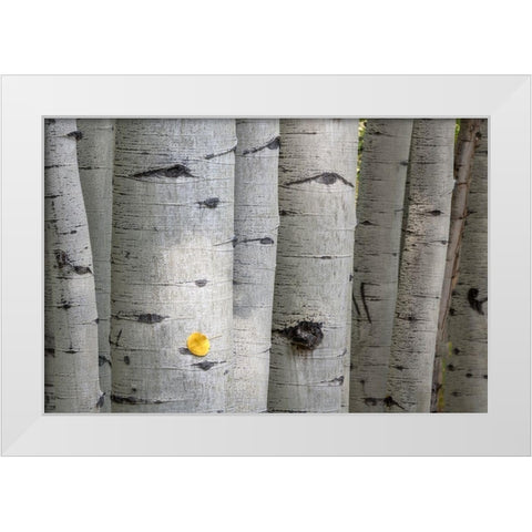 Stuck On You Too White Modern Wood Framed Art Print by Head, Danny