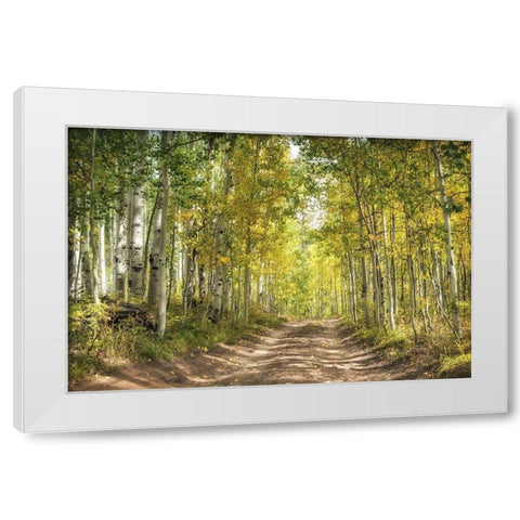 Aspen Drive White Modern Wood Framed Art Print by Head, Danny