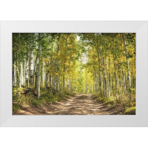 Aspen Drive White Modern Wood Framed Art Print by Head, Danny
