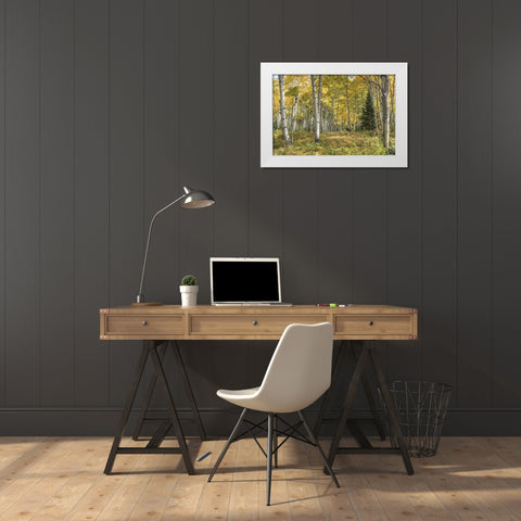 Aspen Grove I White Modern Wood Framed Art Print by Head, Danny