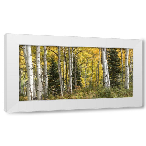 Aspen Panorama White Modern Wood Framed Art Print by Head, Danny