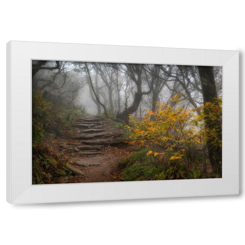 Stone Steps White Modern Wood Framed Art Print by Head, Danny