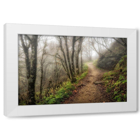 Narrow Path White Modern Wood Framed Art Print by Head, Danny