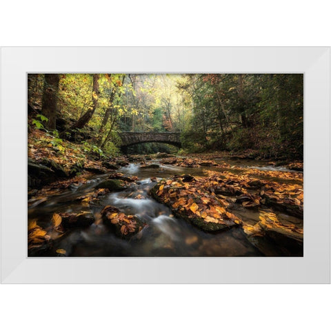Stone Bridge White Modern Wood Framed Art Print by Head, Danny