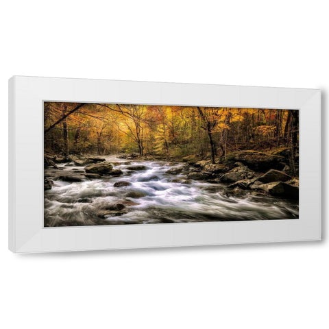 Autumn Bliss White Modern Wood Framed Art Print by Head, Danny