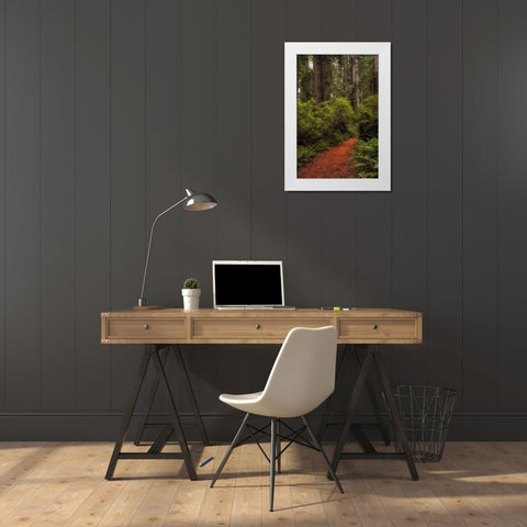 Forest Path III White Modern Wood Framed Art Print by Head, Danny