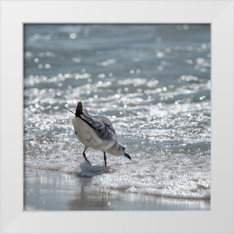 Bottoms Up White Modern Wood Framed Art Print by Head, Danny