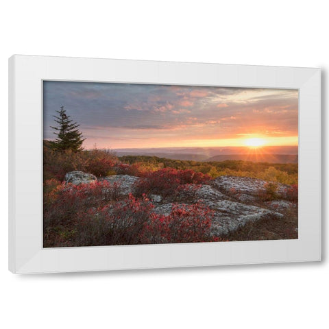 Good Morning White Modern Wood Framed Art Print by Head, Danny