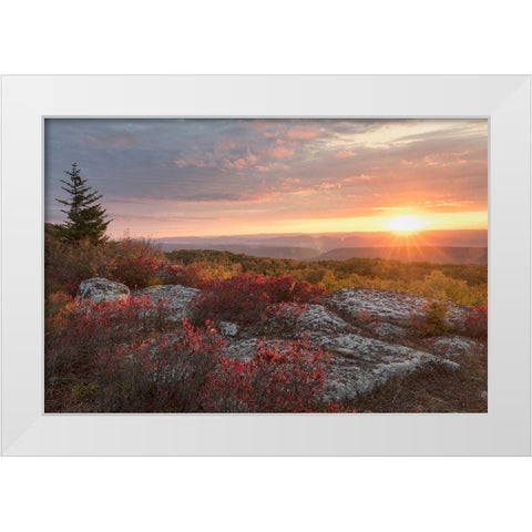 Good Morning White Modern Wood Framed Art Print by Head, Danny