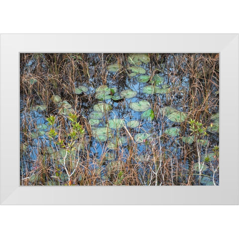 The Marsh White Modern Wood Framed Art Print by Head, Danny
