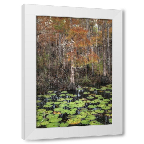 Black Water I White Modern Wood Framed Art Print by Head, Danny