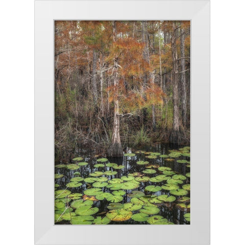 Black Water I White Modern Wood Framed Art Print by Head, Danny