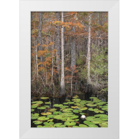 Black Water II White Modern Wood Framed Art Print by Head, Danny