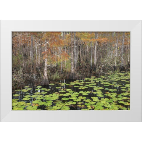 Bayou Autumn White Modern Wood Framed Art Print by Head, Danny