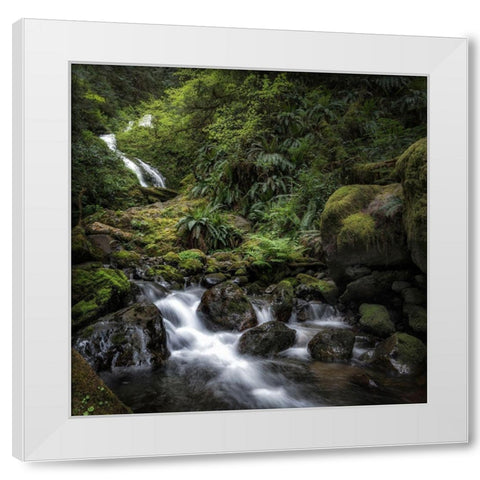 Oasis White Modern Wood Framed Art Print by Head, Danny