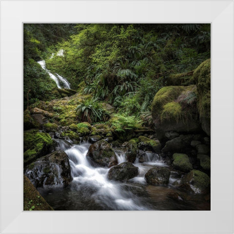 Oasis White Modern Wood Framed Art Print by Head, Danny