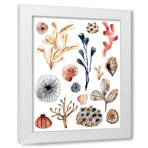 Ocean Assortment I White Modern Wood Framed Art Print by Vess, June Erica