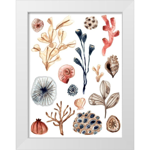 Ocean Assortment I White Modern Wood Framed Art Print by Vess, June Erica