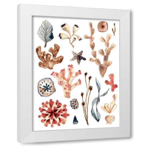 Ocean Assortment II White Modern Wood Framed Art Print by Vess, June Erica
