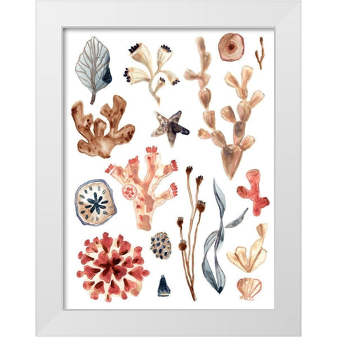 Ocean Assortment II White Modern Wood Framed Art Print by Vess, June Erica