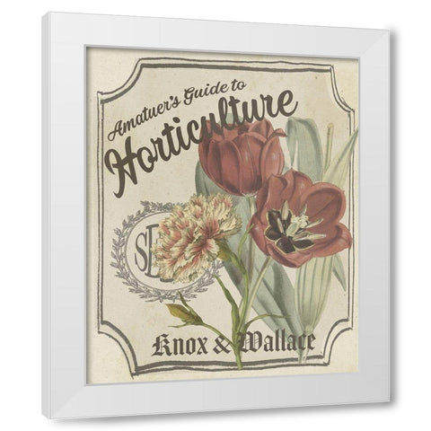 Vintage Seed Packets I White Modern Wood Framed Art Print by Studio W