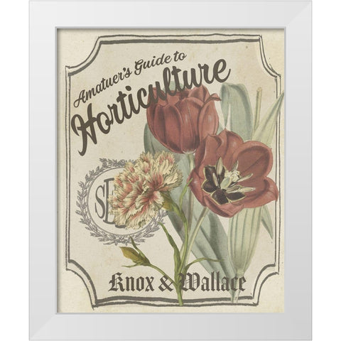 Vintage Seed Packets I White Modern Wood Framed Art Print by Studio W