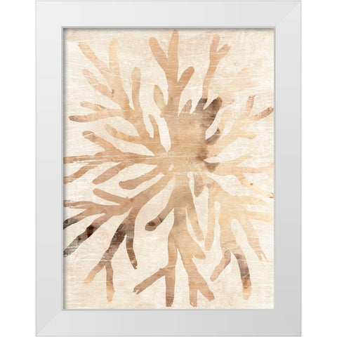 Parchment Coral II White Modern Wood Framed Art Print by Vess, June Erica