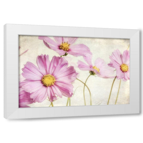 Pink Cosmos I White Modern Wood Framed Art Print by Poinski, Dianne