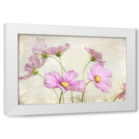 Pink Cosmos II White Modern Wood Framed Art Print by Poinski, Dianne