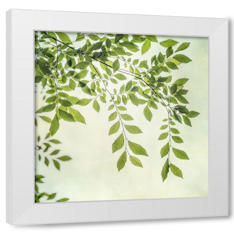 Summer Light I White Modern Wood Framed Art Print by Poinski, Dianne